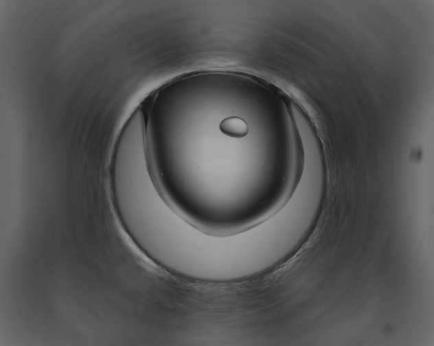 X0000090961432200708241142