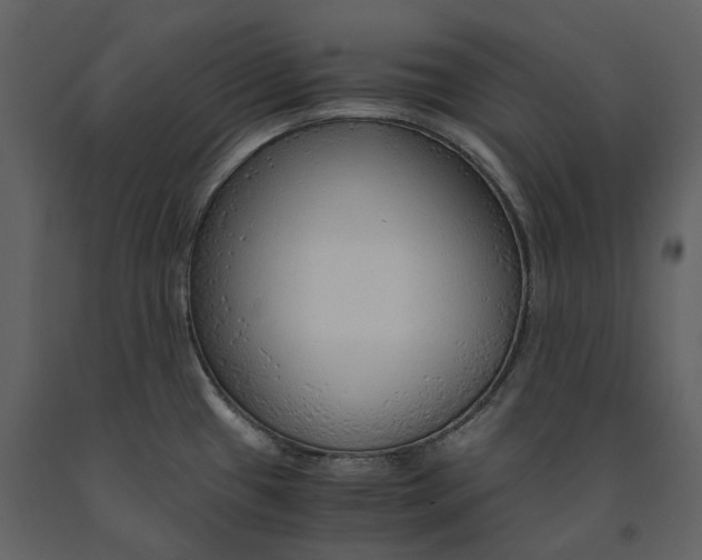 X0000090961433200708241142