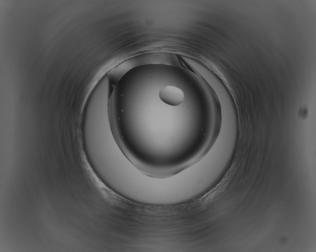 X0000090961434200708241142
