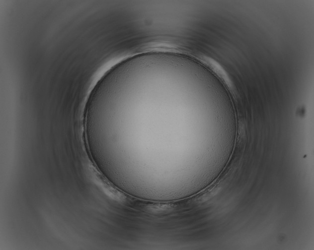 X0000090961435200708241142