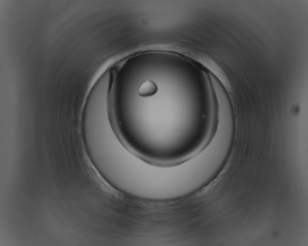 X0000090961436200708241142