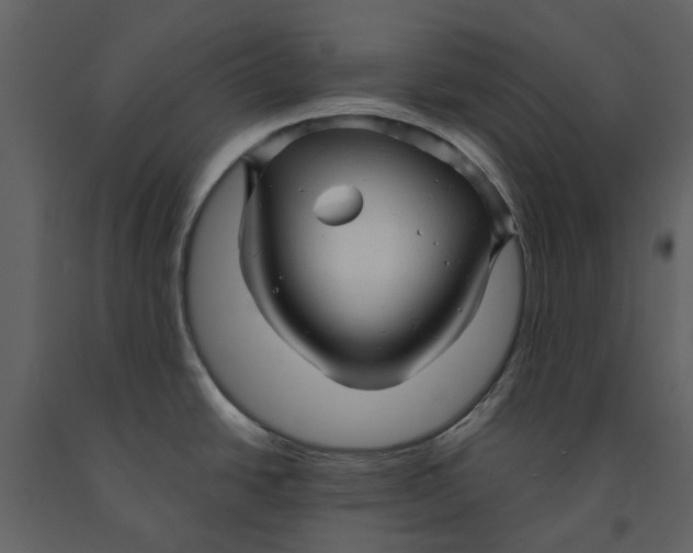 X0000090961438200708241142