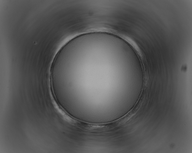 X0000090961439200708241142
