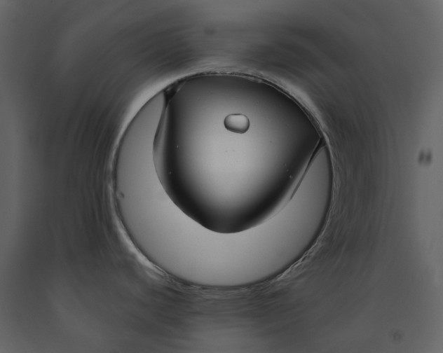X0000090961440200708241142