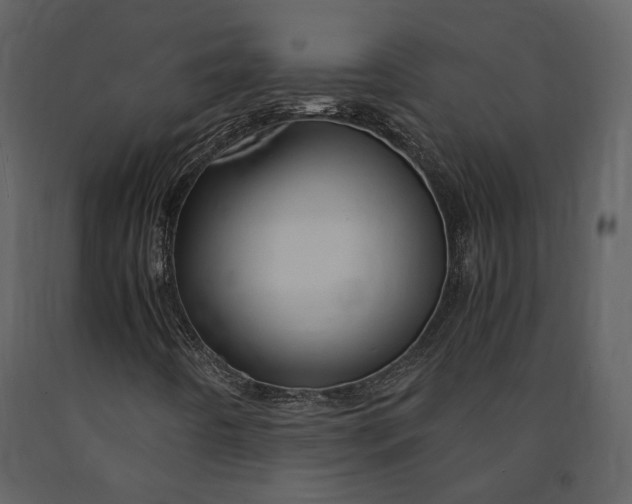 X0000090961442200708241142