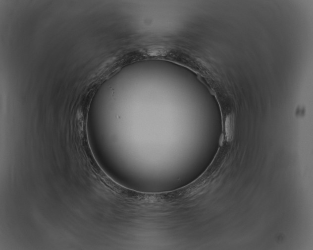 X0000090961443200708241142
