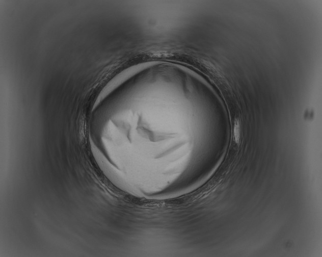 X0000090961444200708241142