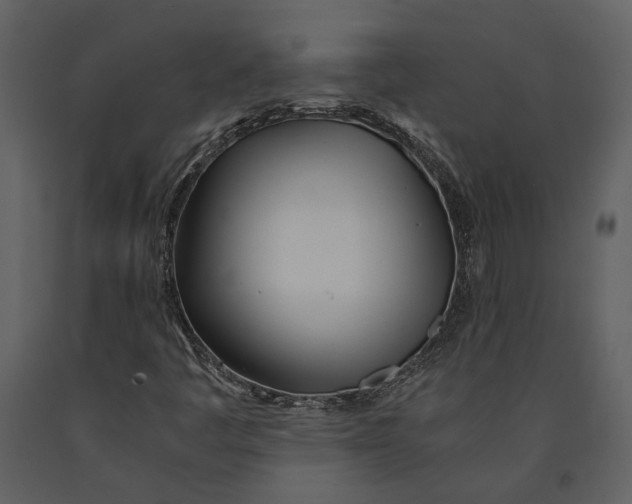 X0000090961445200708241142