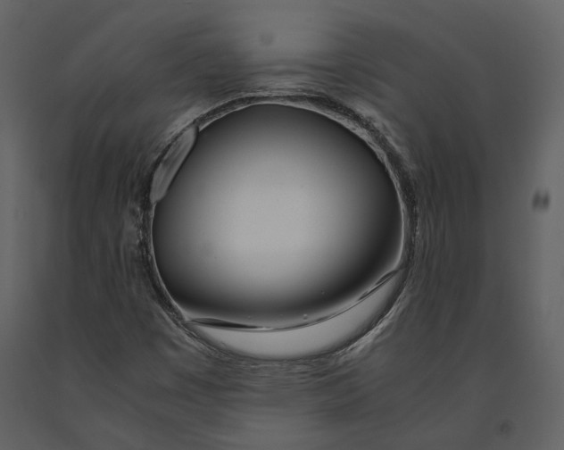 X0000090961449200708241141