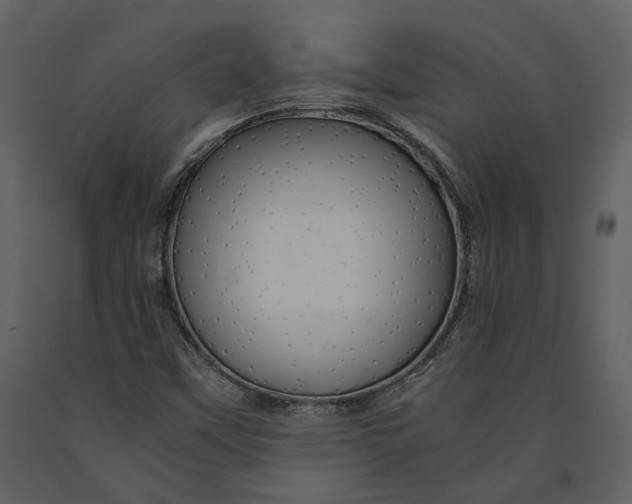 X0000090961451200708241141
