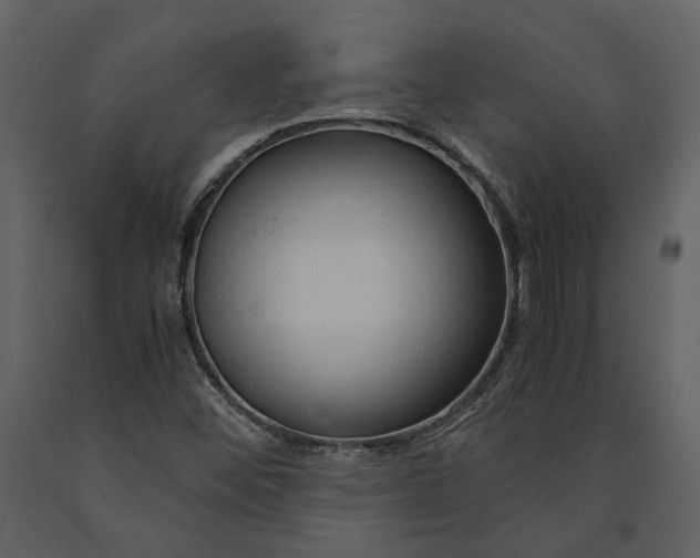 X0000090961452200708241141