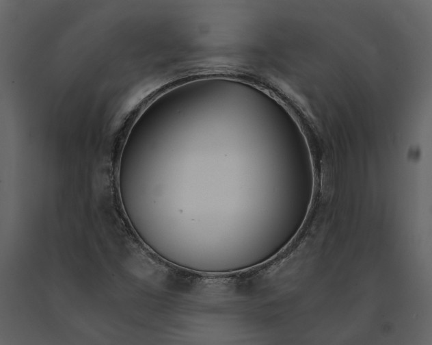 X0000090961453200708241141
