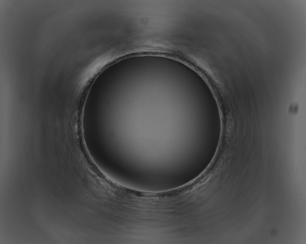 X0000090961455200708241141