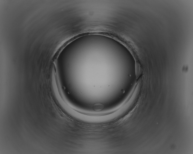 X0000090961457200708241141