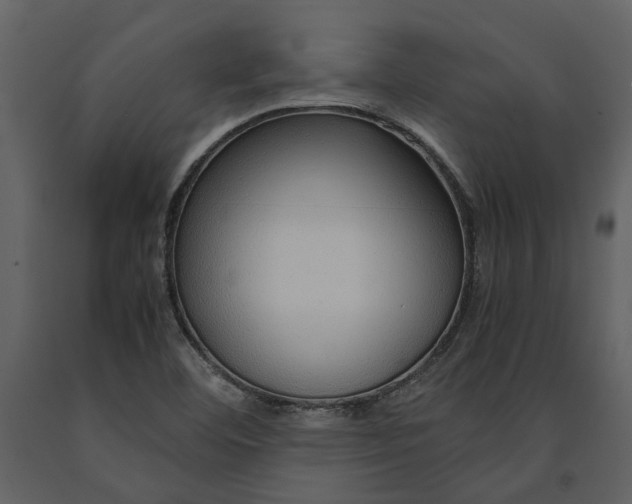 X0000090961460200708241141