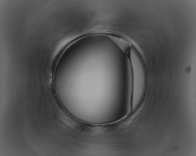 X0000090961461200708241141