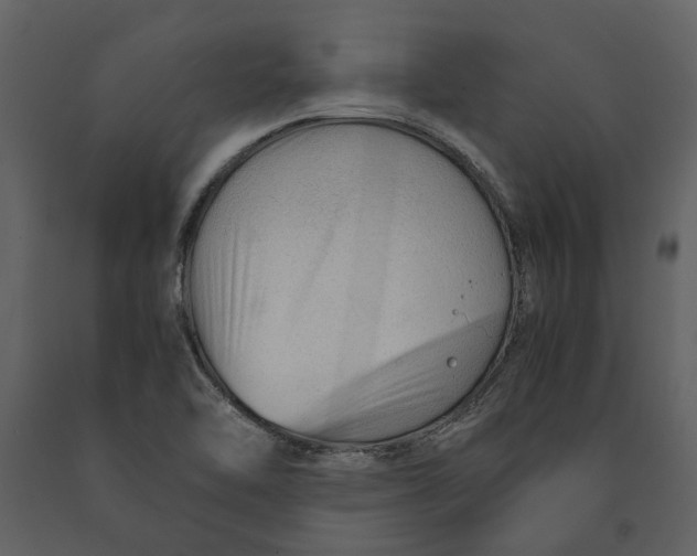X0000090961462200708241141