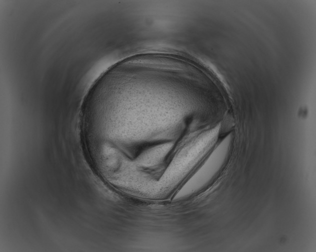 X0000090961463200708241141