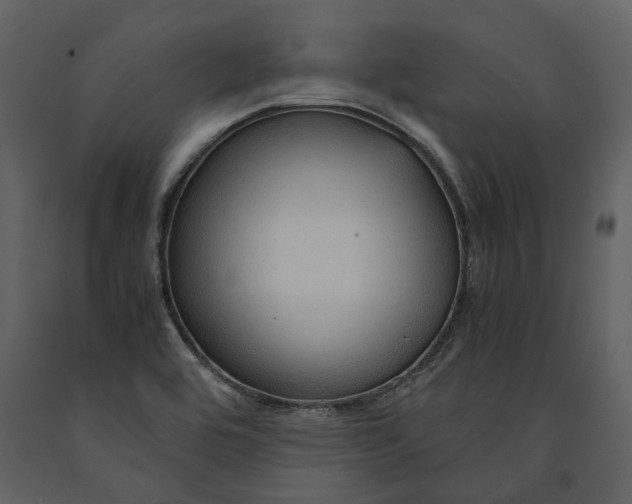 X0000090961464200708241141