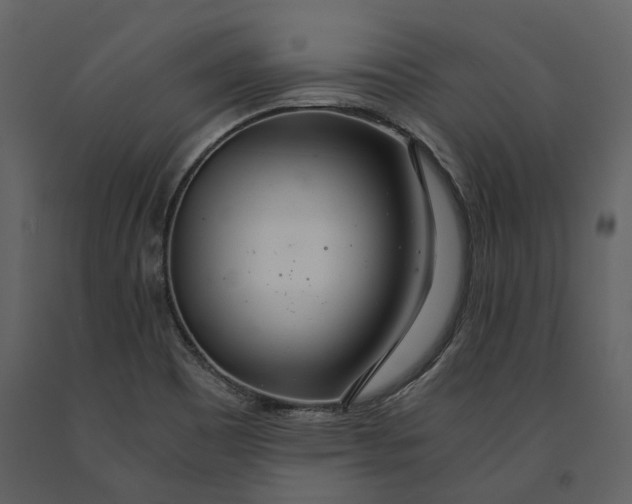 X0000090961465200708241141