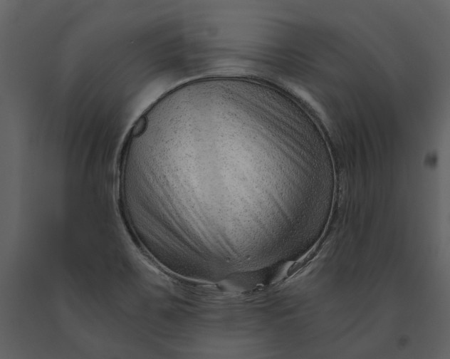 X0000090961467200708241141