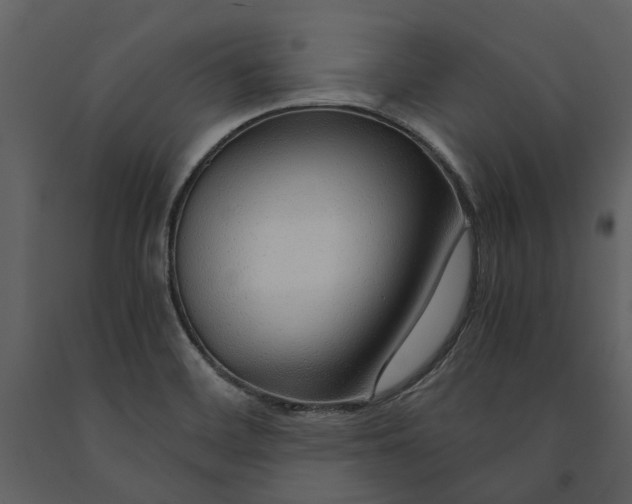 X0000090961468200708241141