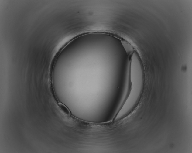 X0000090961469200708241141