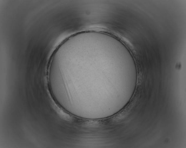 X0000090961470200708241141
