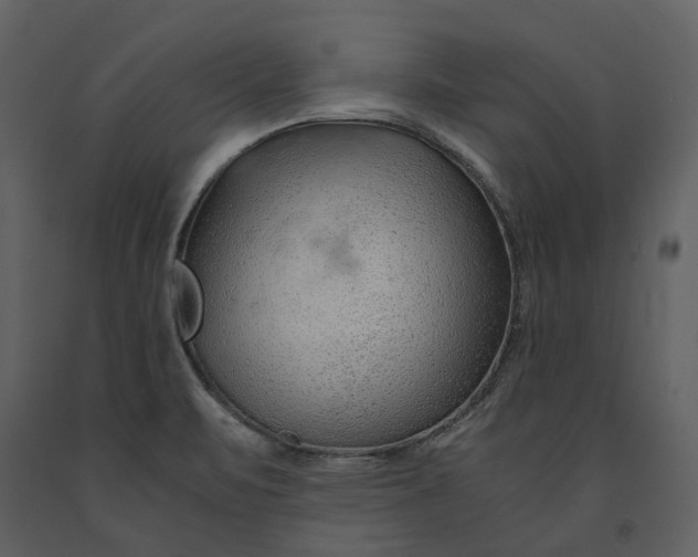X0000090961471200708241141