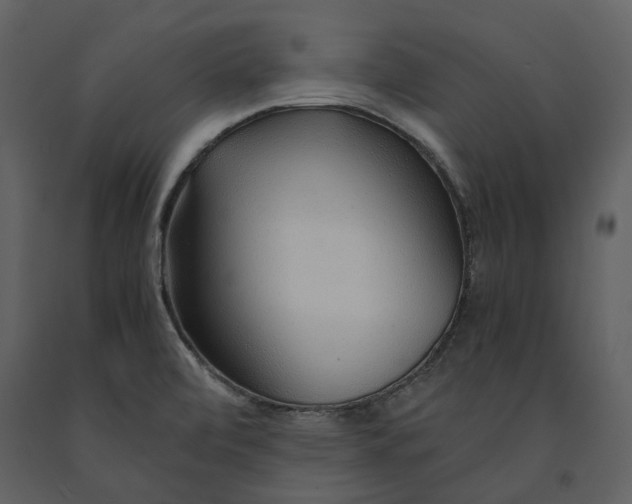 X0000090961472200708241141