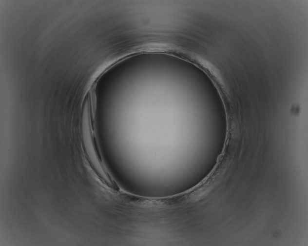 X0000090961473200708241141