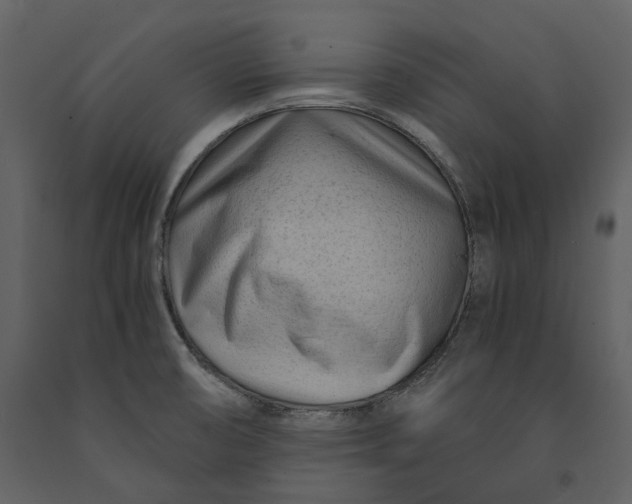 X0000090961474200708241141