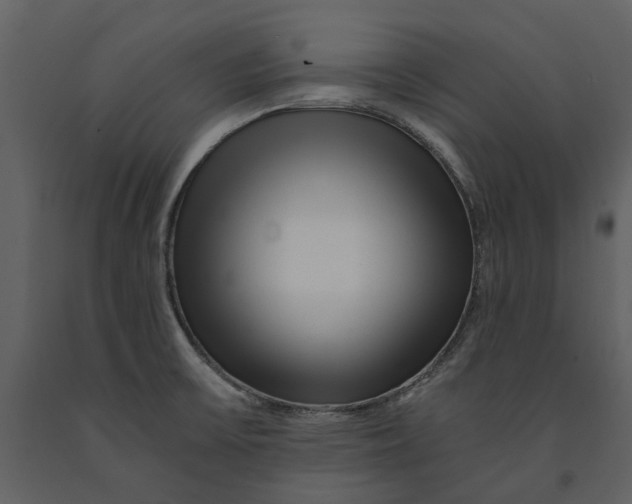 X0000090961475200708241141