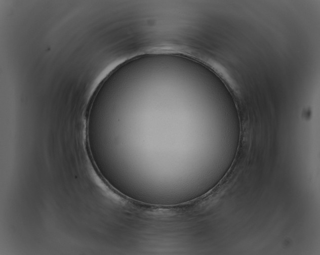 X0000090961476200708241141