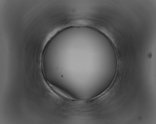 X0000090961477200708241141