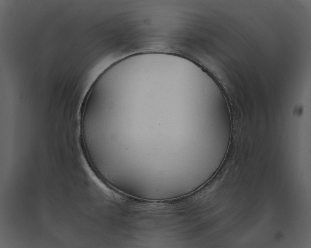 X0000090961479200708241141