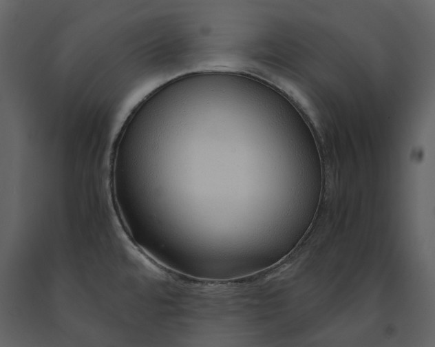 X0000090961480200708241141