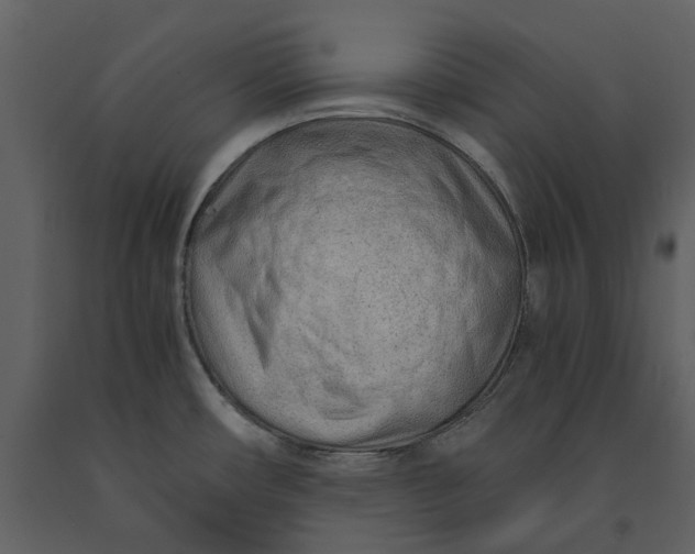 X0000090961482200708241141