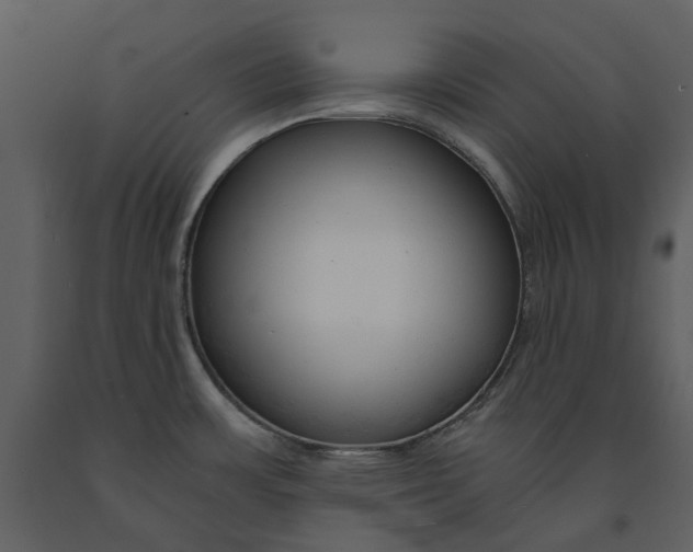 X0000090961483200708241141