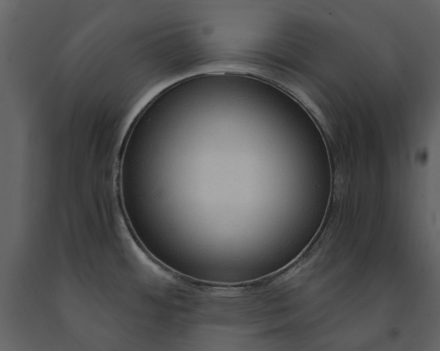 X0000090961484200708241141