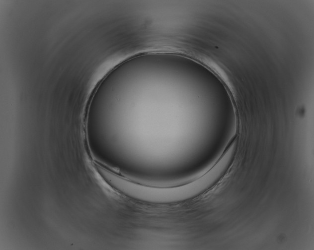 X0000090961485200708241141