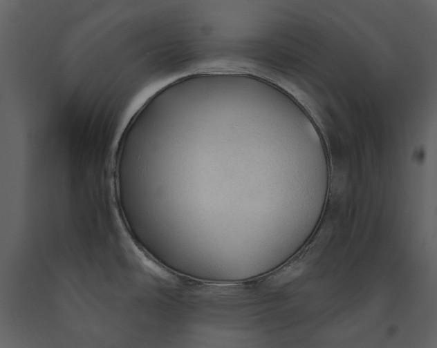X0000090961486200708241141
