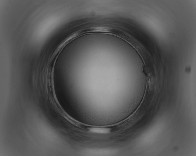 X0000090961487200708241141