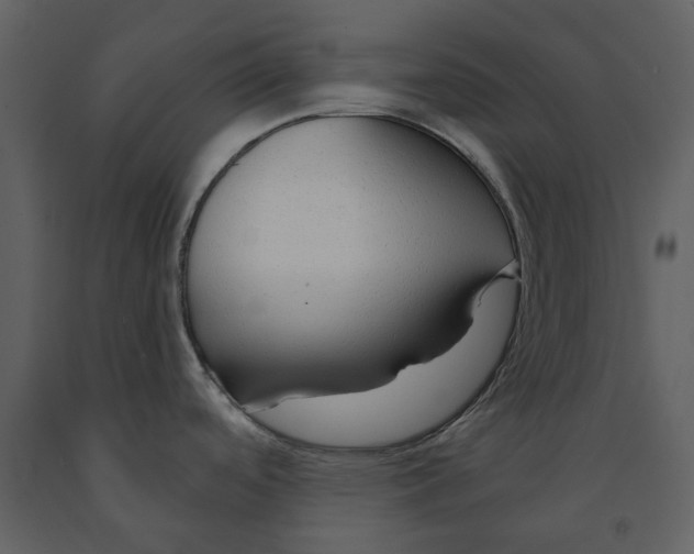 X0000090961488200708241141