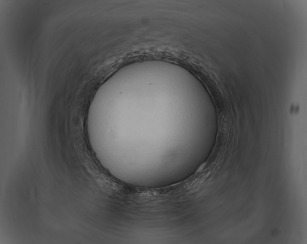 X0000090961489200708241140