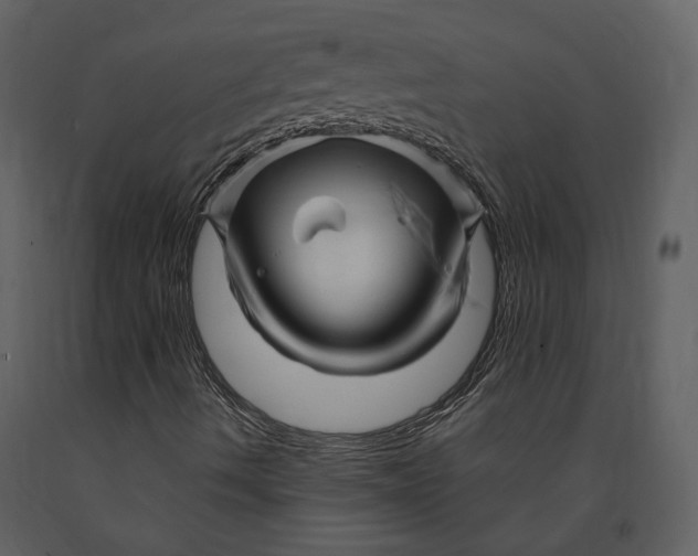 X0000090961490200708241140