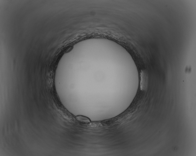 X0000090961491200708241140