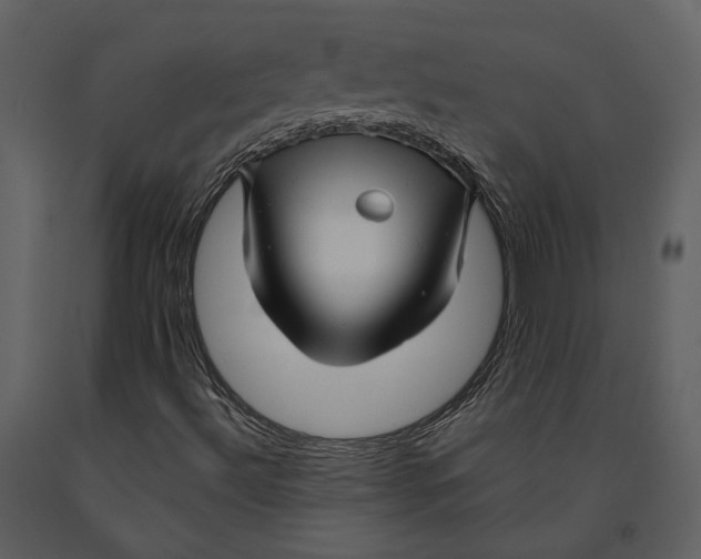 X0000090961492200708241140