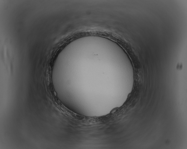 X0000090961493200708241140