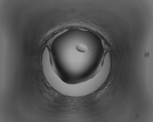 X0000090961494200708241140
